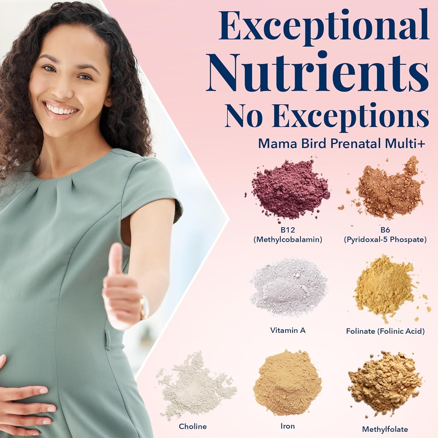 Best Nest Wellness Mama Bird Prenatal Vitamin: Vegan Prenatal Vitamins for Women w/Methylfolate (Folic Acid) w/Organic Herbal Blend, Prenatal Vitamins for Women B12, Choline, Once Daily, 30 Count : Health & Household