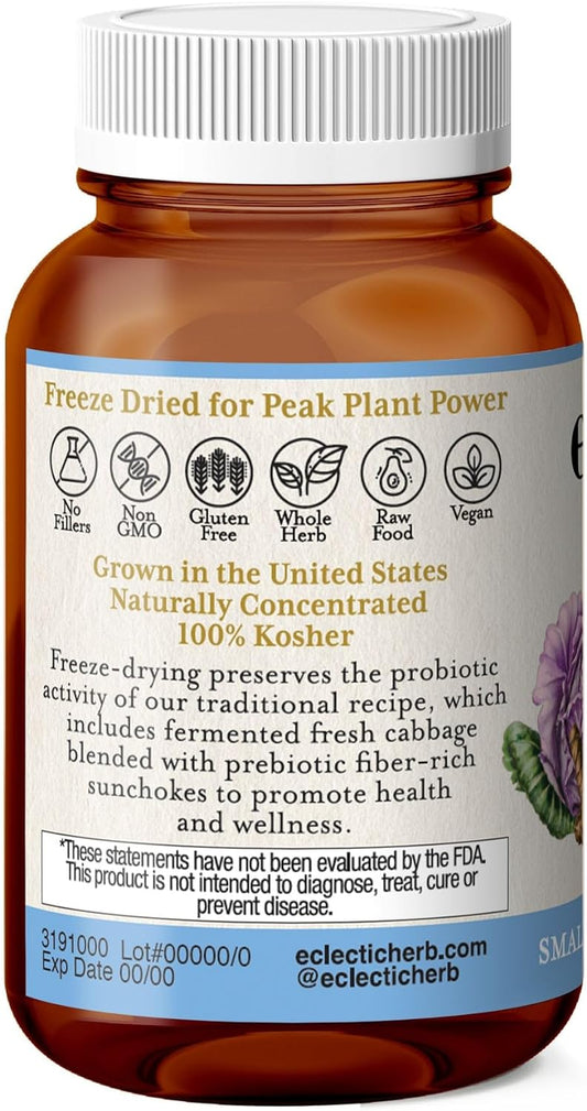 Eclectic Institute Raw Fresh Freeze-Dried Non-Gmo Purple Probiotic | Digestive And Intestinal Support 90 Ct (300 Mg)