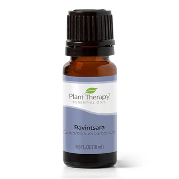 Plant Therapy Ravintsara Essential Oil 10 Ml (1/3 Oz) 100% Pure, Undiluted, Therapeutic Grade