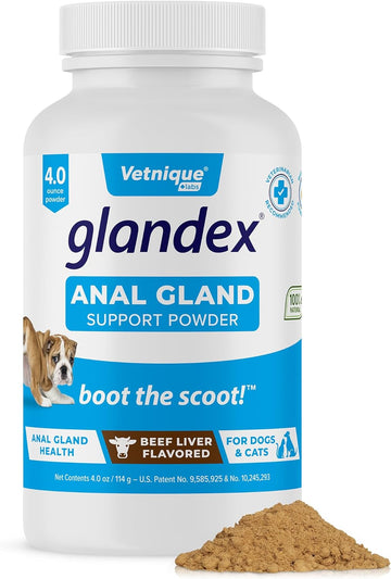 Glandex Dog Fiber Supplement Powder for Anal Glands with Pumpkin, Digestive Enzymes & Probiotics - Vet Recommended Healthy Bowels and Digestion - Boot The Scoot (Beef Liver, 4.0oz Powder)