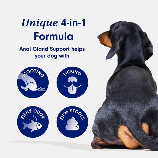 Petlab Co. Anal Gland Support – Target Scooting & Fishy Odor - Supports Anal Gland Health While Helping To Optimize Stool Consistency - Easy To Use Powder