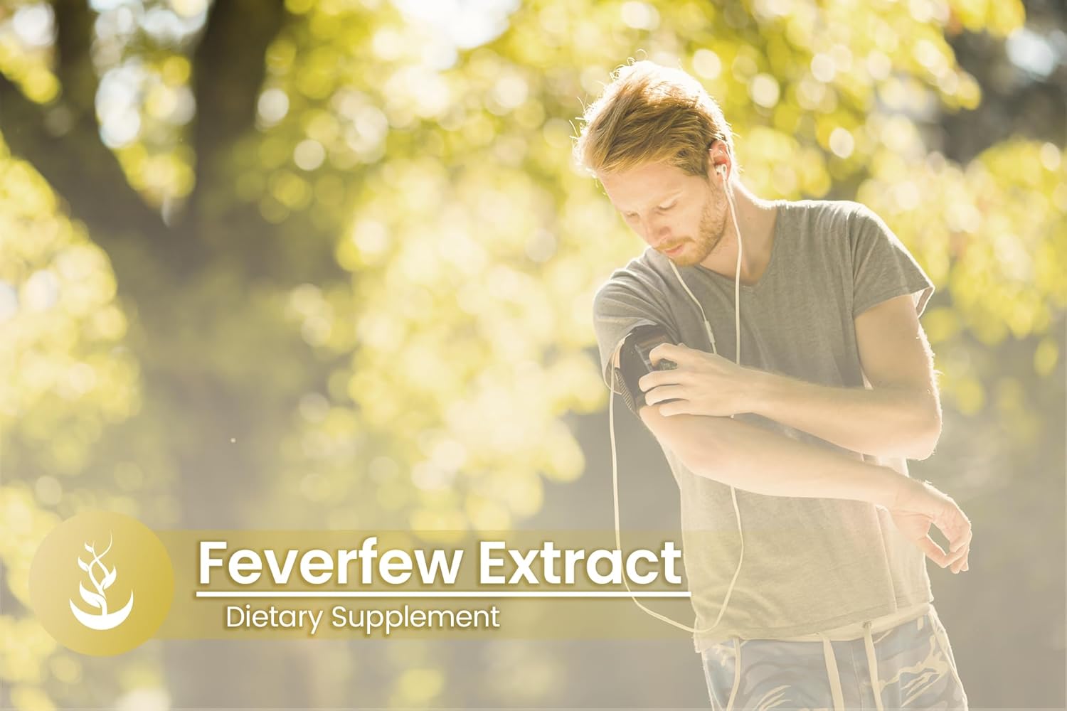 Pure Original Ingredients Feverfew Extract (100 Capsules) Always Pure, No Additives Or Fillers, Lab Verified : Health & Household