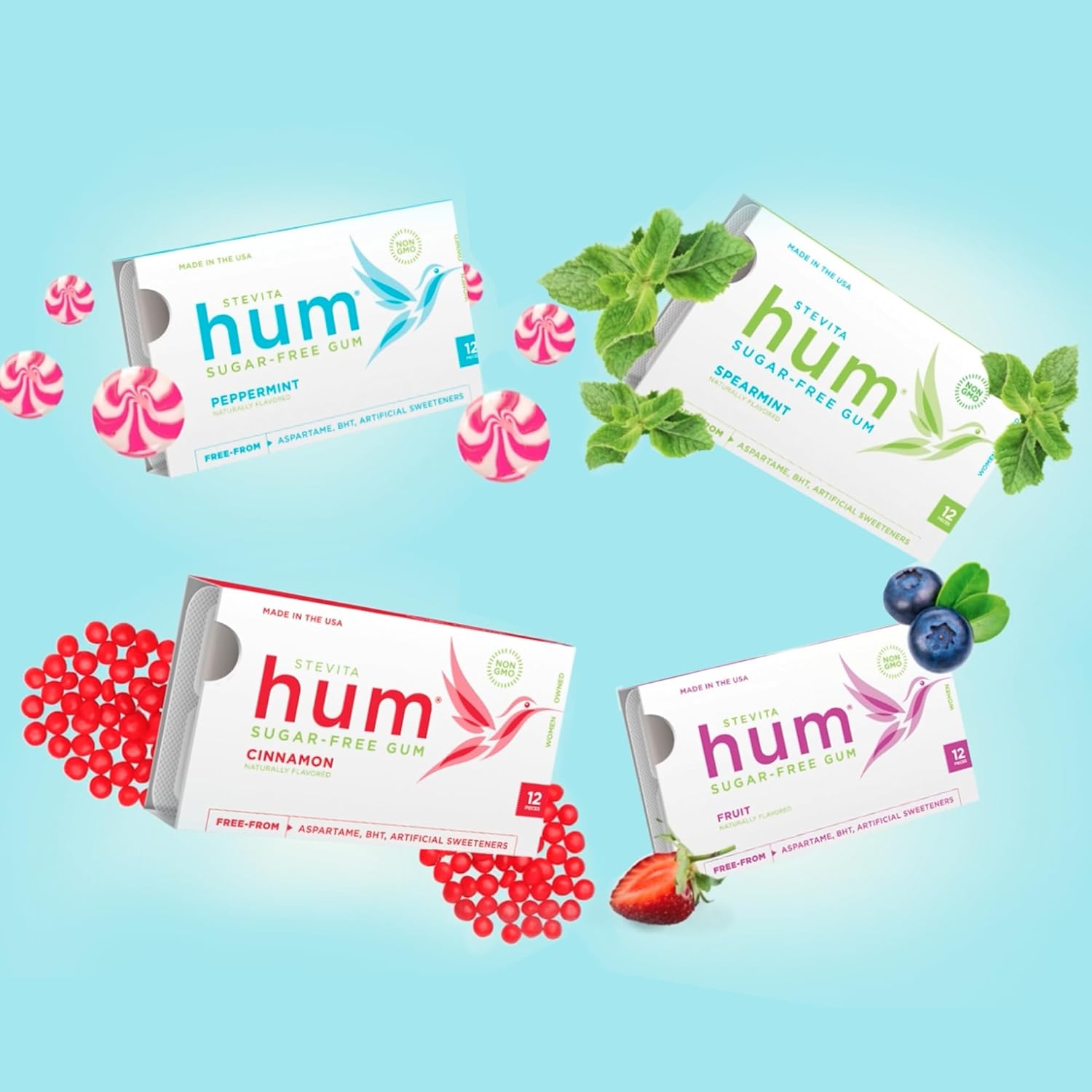 Stevita Hum, Variety Pack - 12 Packets Of Sugar-Free Gum - Includes Three Of Each Flavor: Peppermint, Cinnamon, Fruit & Spearmint - Non-Gmo, Vegetarian, Keto, Gluten Free