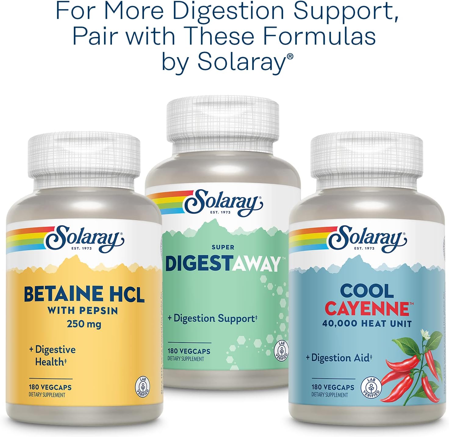 Solaray Organically Grown Ginger Root 540mg Healthy Cardiovascular, Digestive, Joint & Menstrual Cycle Support Vegan & Non-GMO 100 VegCaps : Health & Household