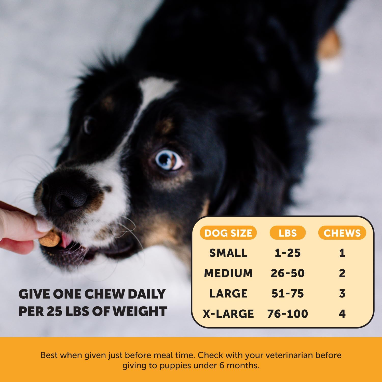 Pet Honesty Allergy Itch Relief for Dogs - Dog Allergy Support Immunity Supplement - Dog Allergy Chews, Probiotics for Dogs, Seasonal Allergies, Skin and Coat Supplement - Peanut Butter (90ct) : Pet Supplies
