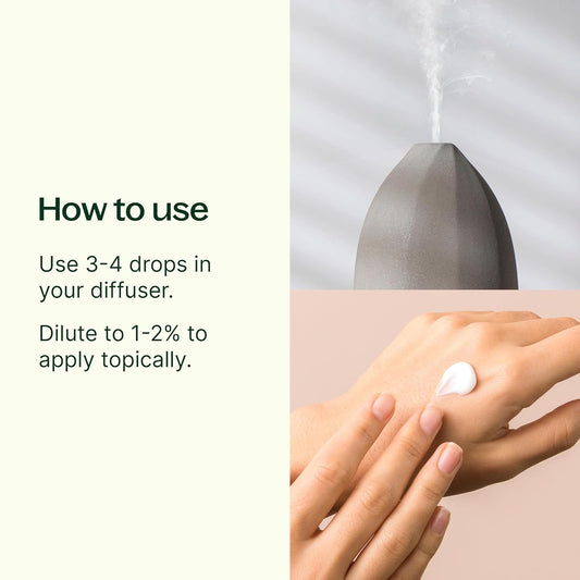 Plant Therapy Lemon Essential Oil For Diffusing, 10 Ml (1/3 Oz) 100% Pure, Undiluted, Natural Aromatherapy, Lemon Oil For Skin, Lemon Oil For Cleansing, Energizing & Uplifting, Therapeutic Grade