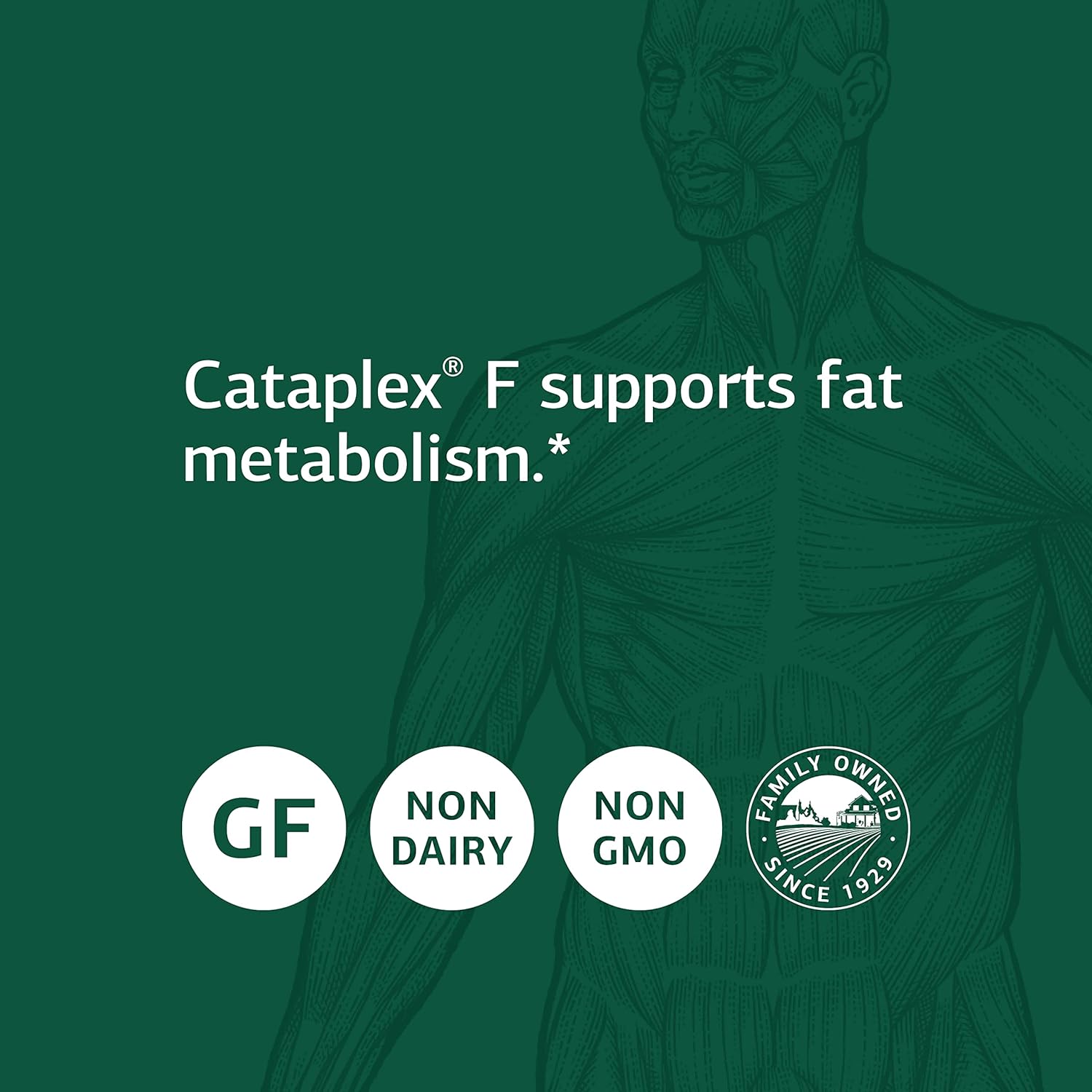 Standard Process Cataplex F - Whole Food Supplement, Metabolism, Skin 