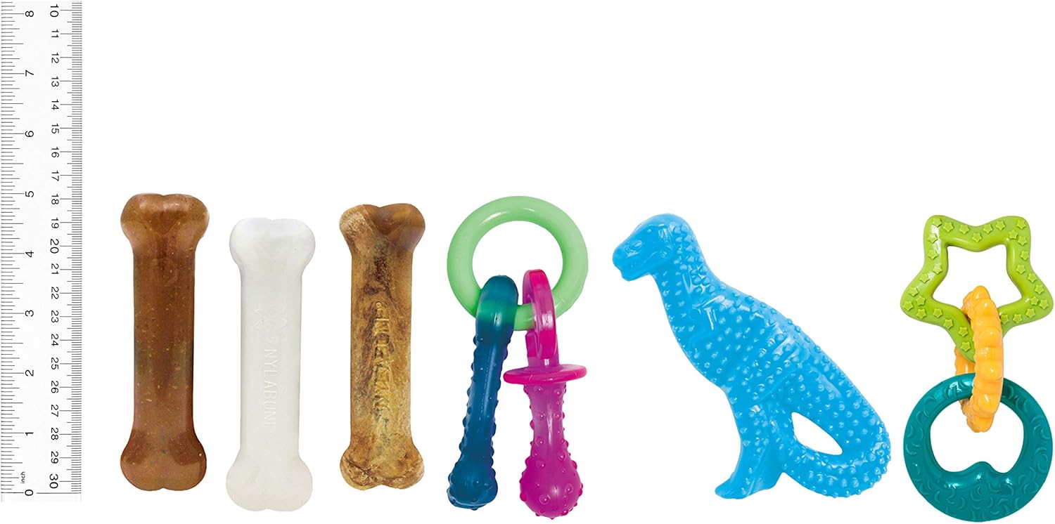 Pet Supplies : Nylabone Puppy Starter Kit with Chew Toys - Puppy Toys and Chew Treat Bundle - Puppy Supplies - Chicken and Bacon Flavors, Small/Regular (6 Count) : Amazon.com