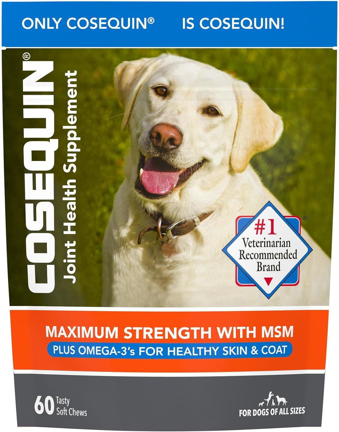 Nutramax Cosequin Joint Health Supplement for Dogs - With Glucosamine, Chondroitin, MSM, and Omega-3's, 60 Soft Chews