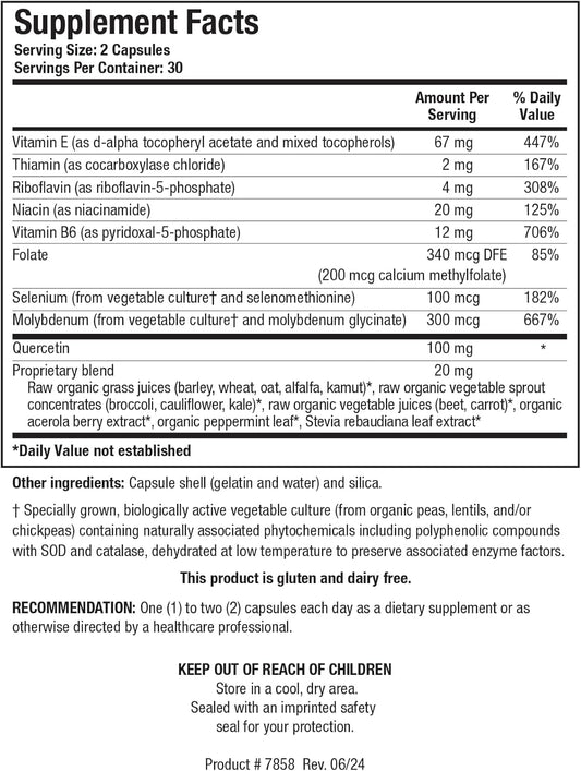 Biotics Research Toleraid – Designed And Clinically Tested By Dr. Mark Force, Supports Healthy Functioning Of Liver Detoxification Pathways, Urea Cycle, Methylation. Vitamin E, Riboflavin 60 Capsules
