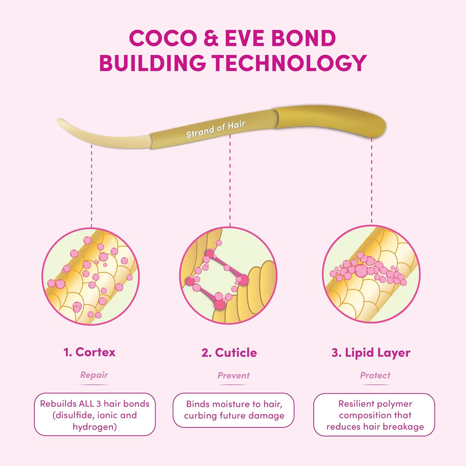 Coco & Eve Bond Building Pre-Shampoo Treatment | Dry Damaged Hair Repair | Deep Conditioning Mask for Repairing Damage & Bonds | Helps with Hair Breakage (125ml) : Amazon.co.uk: Beauty