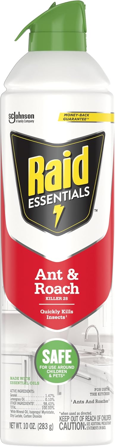 Raid Essentials Ant & Roach, 10 Oz