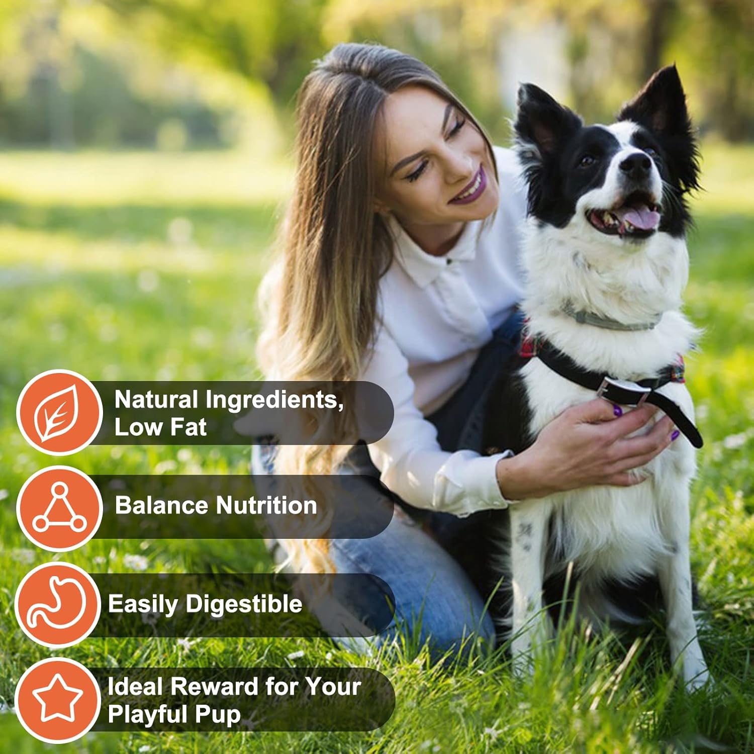 MON2SUN Chicken Jerky for Dogs Made with Real Chicken Breast Dog Snacks, High Protein & Grain Free Training Treats for Small Medium and Large Dogs (Chicken, 14.11 Ounce -Pack of 1) : Pet Supplies