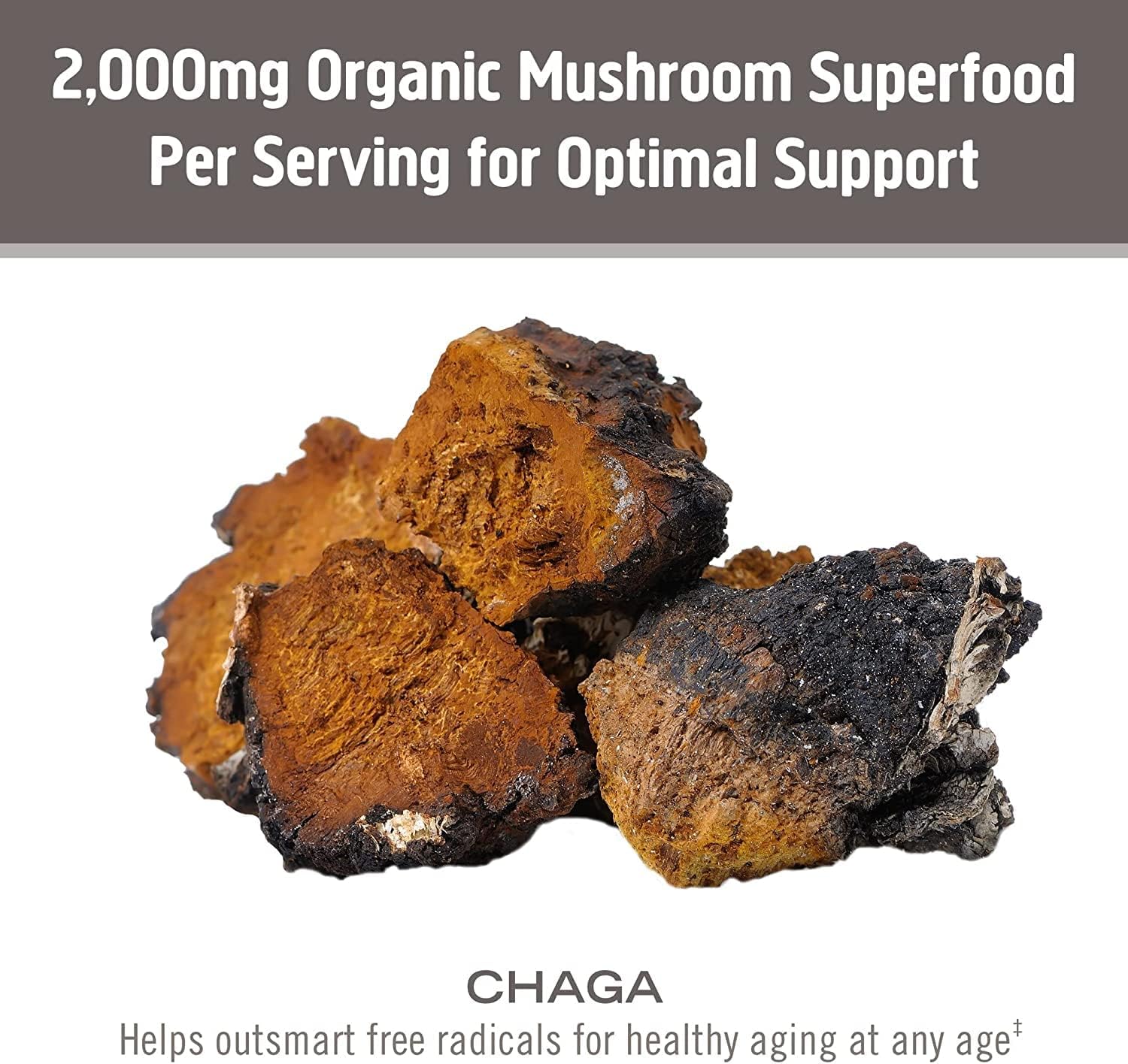 Om Mushroom Superfood Chaga Organic Mushroom Powder, 3.5 Ounce, 50 Servings, US Grown, Sacred Antioxidants & Immune Support, Superfood Mushroom Supplement : Health & Household