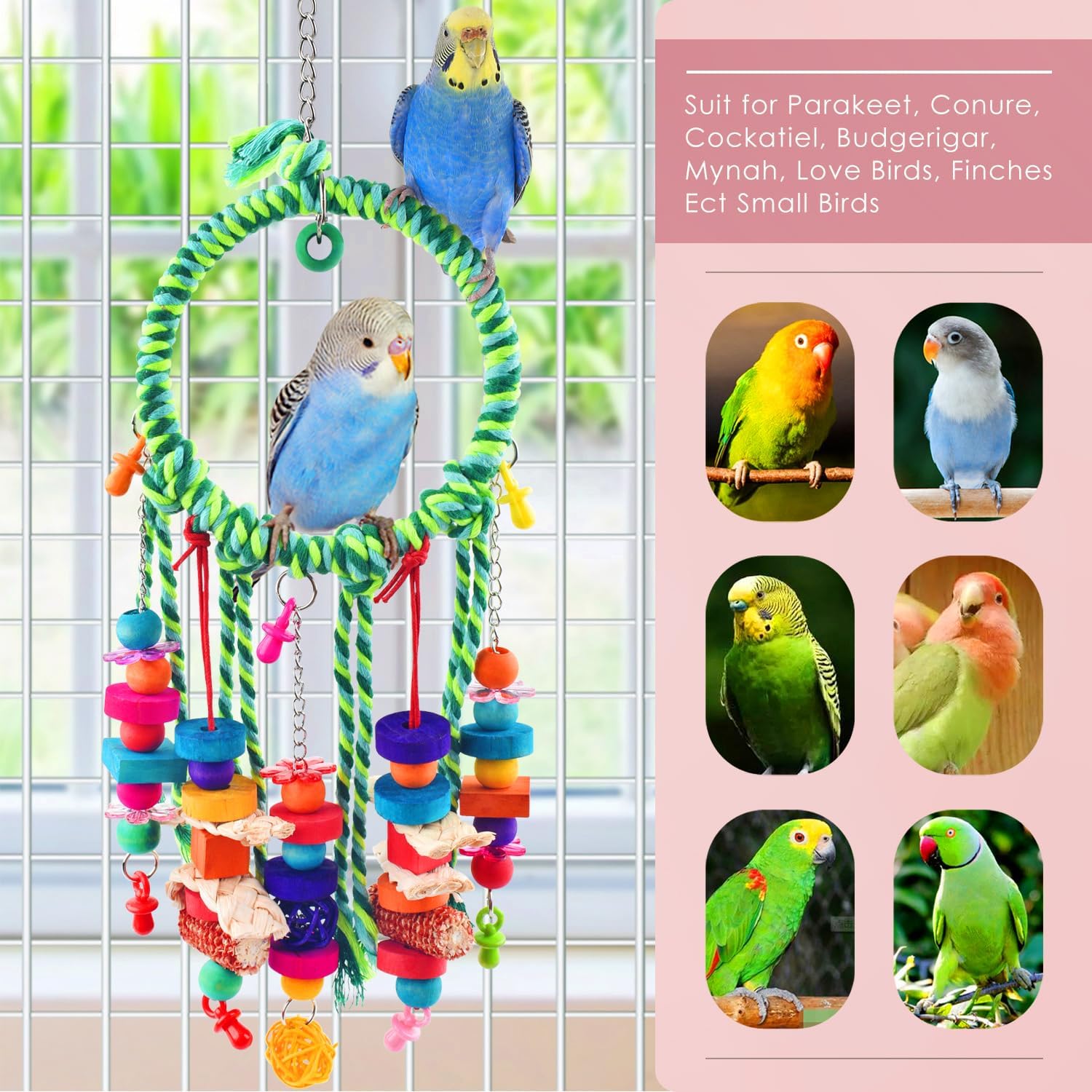 KATUMO Bird Toys, Parakeet Swing Parrot Perch Cockatiel Shredding Toys Conure Swing for Lovebird Parakeet Budgie Conure Cockatiel Finch Mynah Canary : Pet Supplies