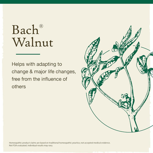 Bach Original Flower Remedies, Walnut For Adapting To Change (Non-Alcohol Formula), Natural Homeopathic Flower Essence, Holistic Wellness And Stress Relief, Vegan, 10Ml Dropper, Clear