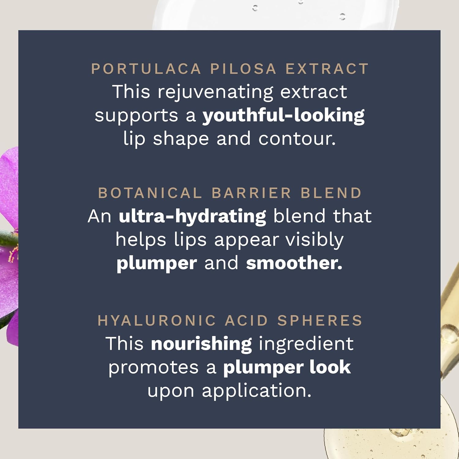 City Beauty City Lips Plumping Oil - Plump, Hydrate, Restore - Anti-Aging Lip Treatment - Plumping Lip Oil With Hyaluronic Acid & Plant Extracts (Pink Champagne) : Beauty & Personal Care