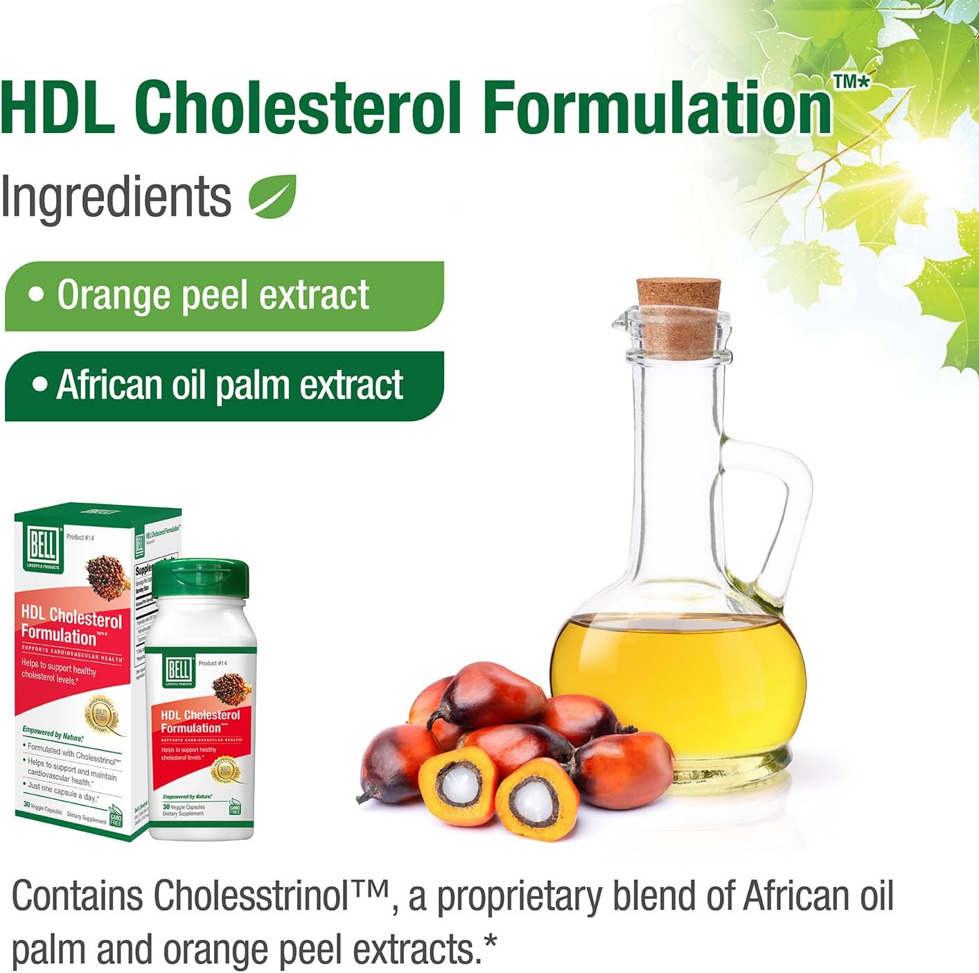 Bell Hdl Cholesterol Formulation™, Cholesterol Health Supplement - Proprietary Blend, For Women And Men | 30 Capsules : Health & Household
