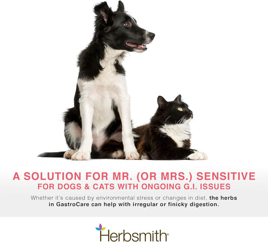 Herbsmith Gastrocare - For Cats & Dogs With Sensitive Stomachs - Cat And Dog Digestive Support - Ease Canine And Feline Sensitive Stomach - 75G