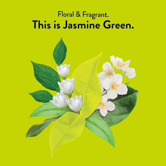 Choice Organics - Organic Jasmine Green Tea (6 Pack) - Green Tea Scented With Jasmine Blossoms - Fair Trade - Compostable - Contains Caffeine - 96 Organic Green Tea Bags