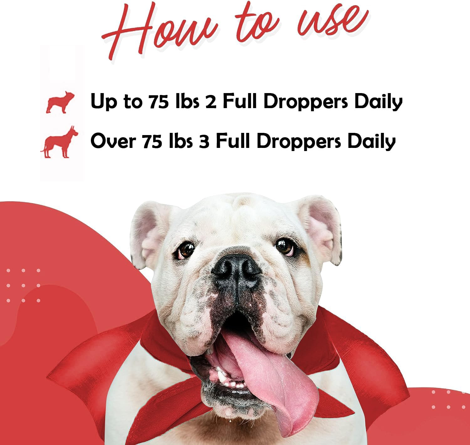 Wonder Paws Premium Kidney Support for Dogs – Cranberry Supplement for Dogs – Dog UTI Treatment – Supports Bladder, Detox, Urinary & Kidney Health – Liquid Kidney Supplement for Dogs 2 oz (60ml) : Pet Supplies