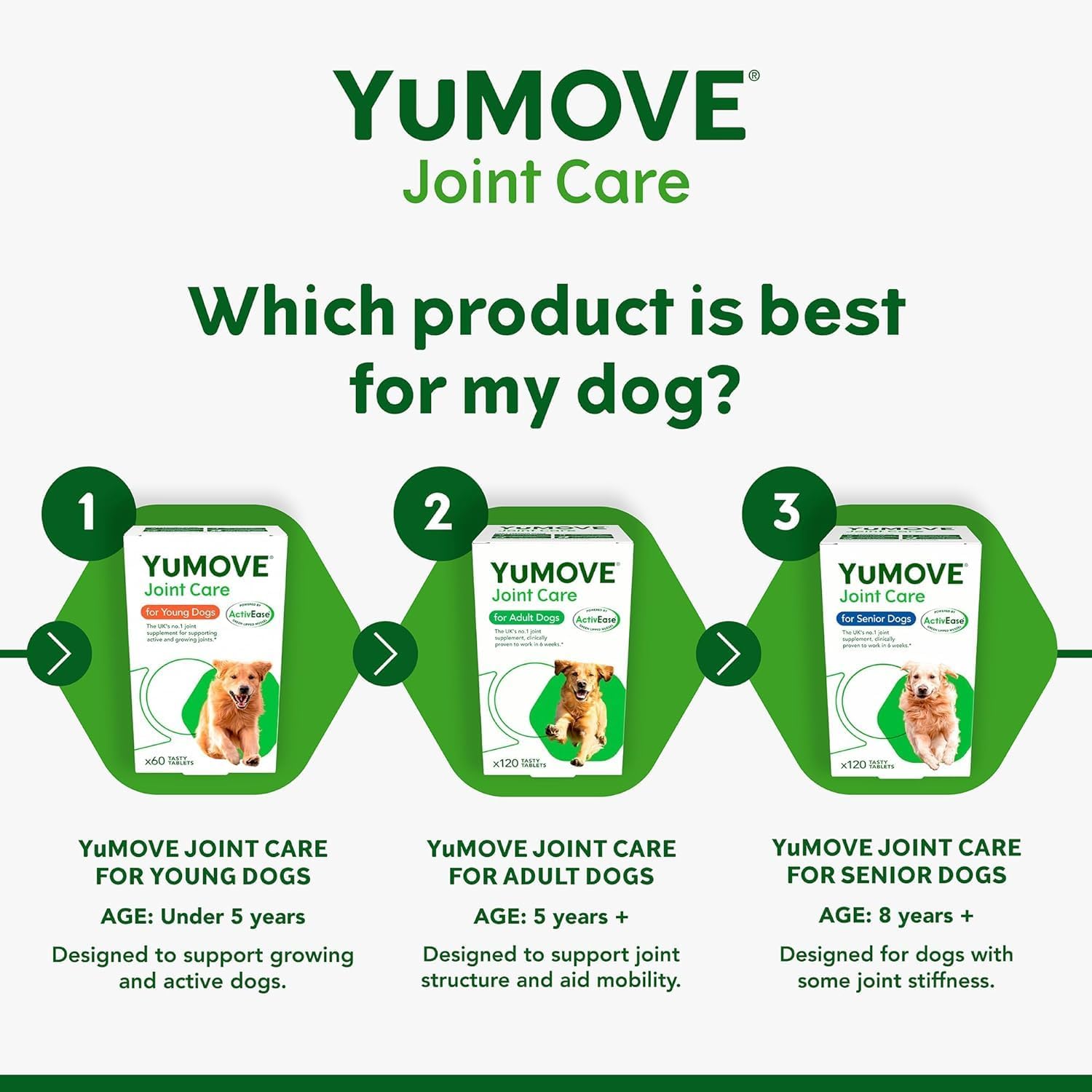YuMOVE Young and Active Dog | Joint Supplement for Dogs to Support Active and Growing Joints Aged Under 6 | 60 Tablets Clear :Pet Supplies