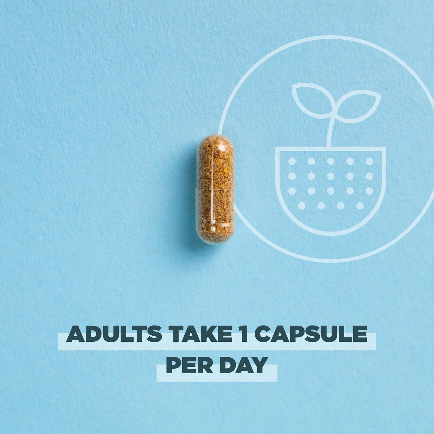 Ancient Nutrition Regenerative Organic Certified Probiotics For Women, Probiotics Women’S Once Daily, For Healthy Digestion And Immune System Function Support, 25 Billion Cfus* Per Serving, 30 Count