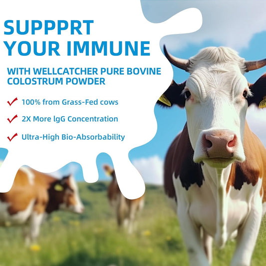 Grass Fed Bovine Colostrum Powder For Humans - Natural High Igg Colostrum Supplement For Kids Adults With Immune Gut Hair Skin Support Easy To Mix 60 Servings
