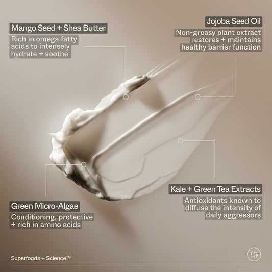 Youth To The People Superfood Hand + Body Lotion (13.1 Fl Oz), Omega-Rich Plant Butters + Antioxidants Moisturizer, Soothes Dry + Dull Skin, Non-Greasy, Aromatic Fragrance, Vegan