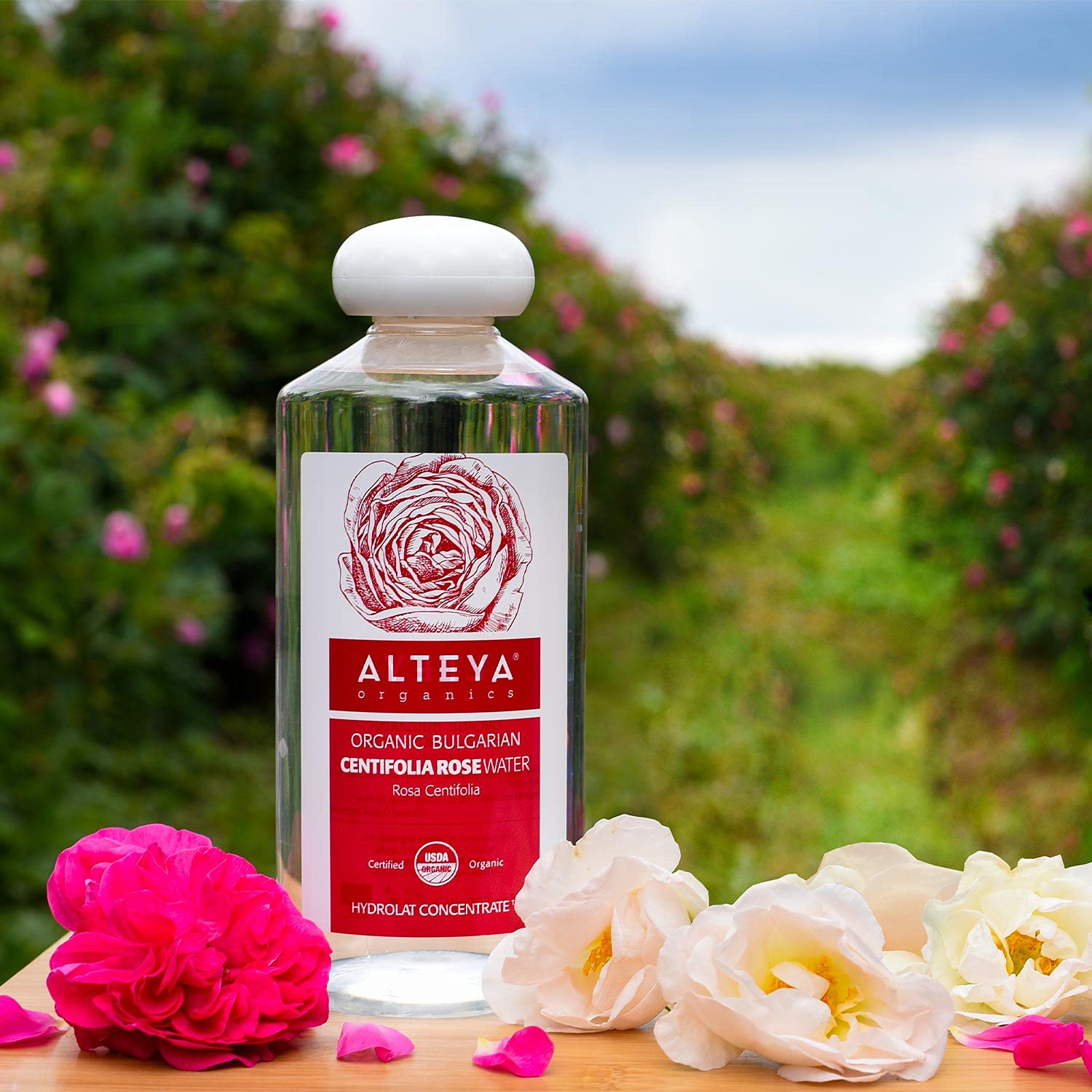 Alteya Organic Centifolia Rose Water 500Ml - 100% Usda Certified Organic Big Bottle Authentic Pure Rosa Centifolia Flower Water Steam-Distilled And Sold Directly By The Rose Grower Alteya Organics : Beauty & Personal Care