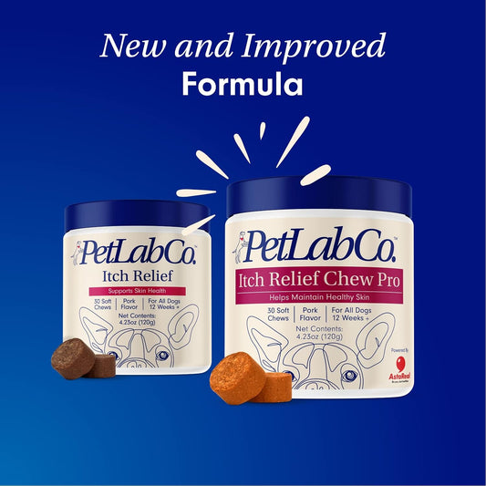 Petlab Co. Itch Relief Chew Pro For Dogs – Omega 3 For Dogs Itch Supplement - Packed With Beneficial Fatty Acids For Healthy Skin – Seasonal Allergies Support