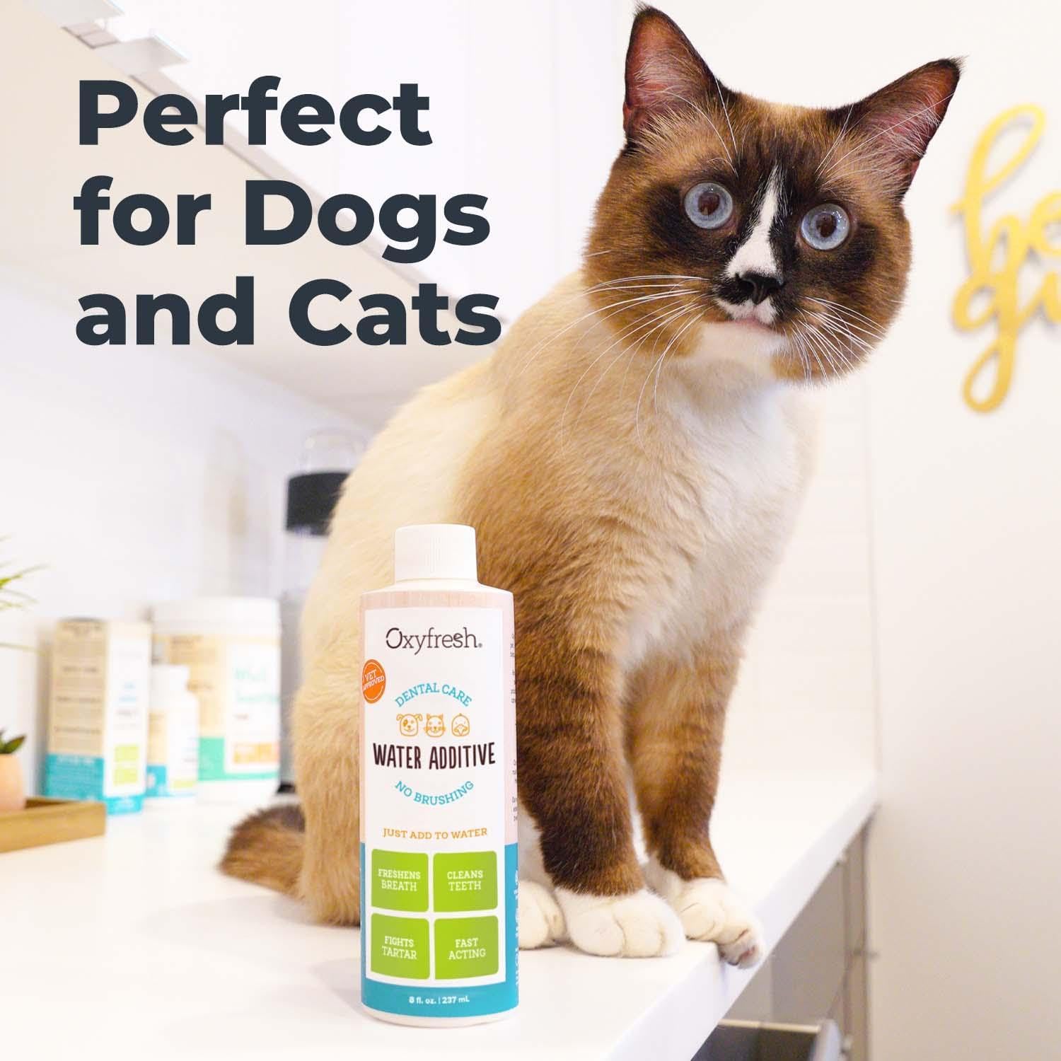 Oxyfresh Premium Pet Dental Care Solution Pet Water Additive: Best Way to Eliminate Bad Dog Breath and Cat Bad Breath - Fights Tartar & Plaque - So Easy, Just Add to Water! Vet Recommended 16 oz. : Pet Supplies