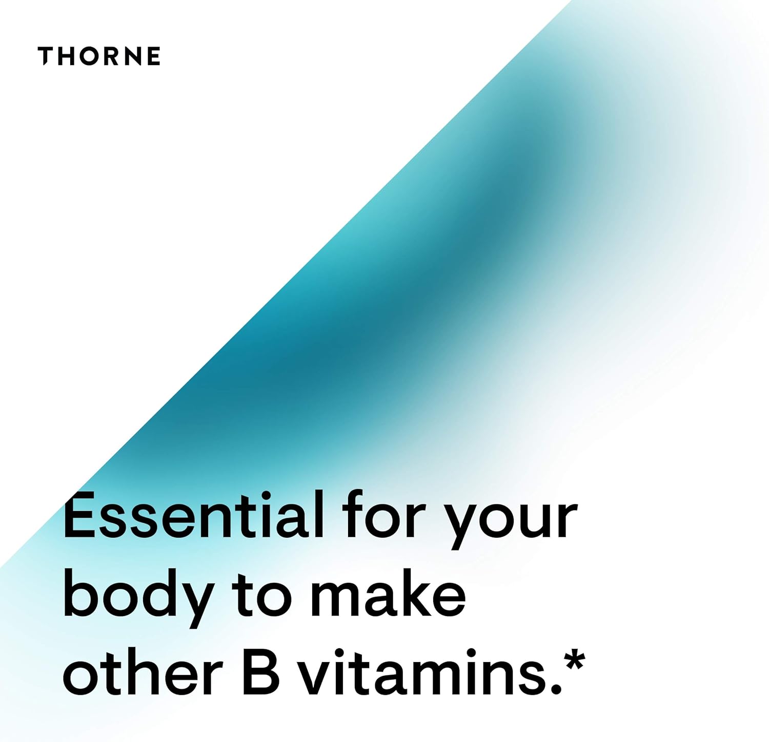 THORNE Riboflavin 5'-Phosphate - Bioactive Form of Vitamin B2 for Methylation Support - 60 Capsules : Health & Household