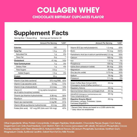 Obvi Collagen Whey Protein Powder | Post Workout Shake, Supports Muscle Growth, Healthy Hair, Skin, Nails, Joints, Gut | Multi-Collagen Infused Meal Replacement | Chocolate Bday Cupcakes, 20 Servings