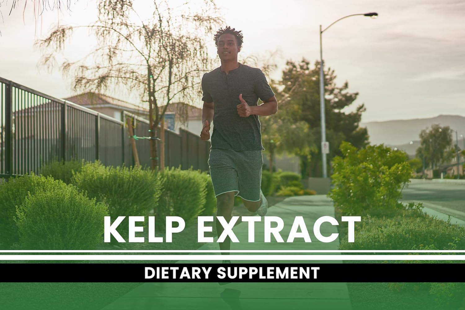 Pure Original Ingredients Kelp Extract (365 Capsules) No Magnesium Or Rice Fillers, Always Pure, Lab Verified : Health & Household