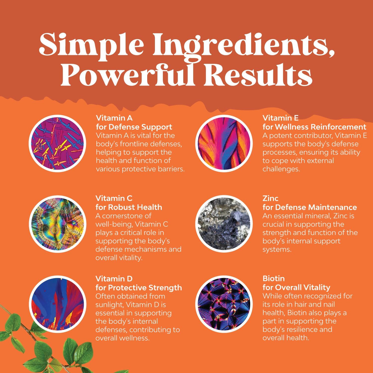 Potent Daily Multivitamin Gummies for Adults - Wellness Blend of Vitamin D A C E B12 Zinc and Biotin - Adult Vitamin Gummy for Energy and Immunity - Non-GMO Gluten Free and Halal Gummies - 90 Gummies : Health & Household