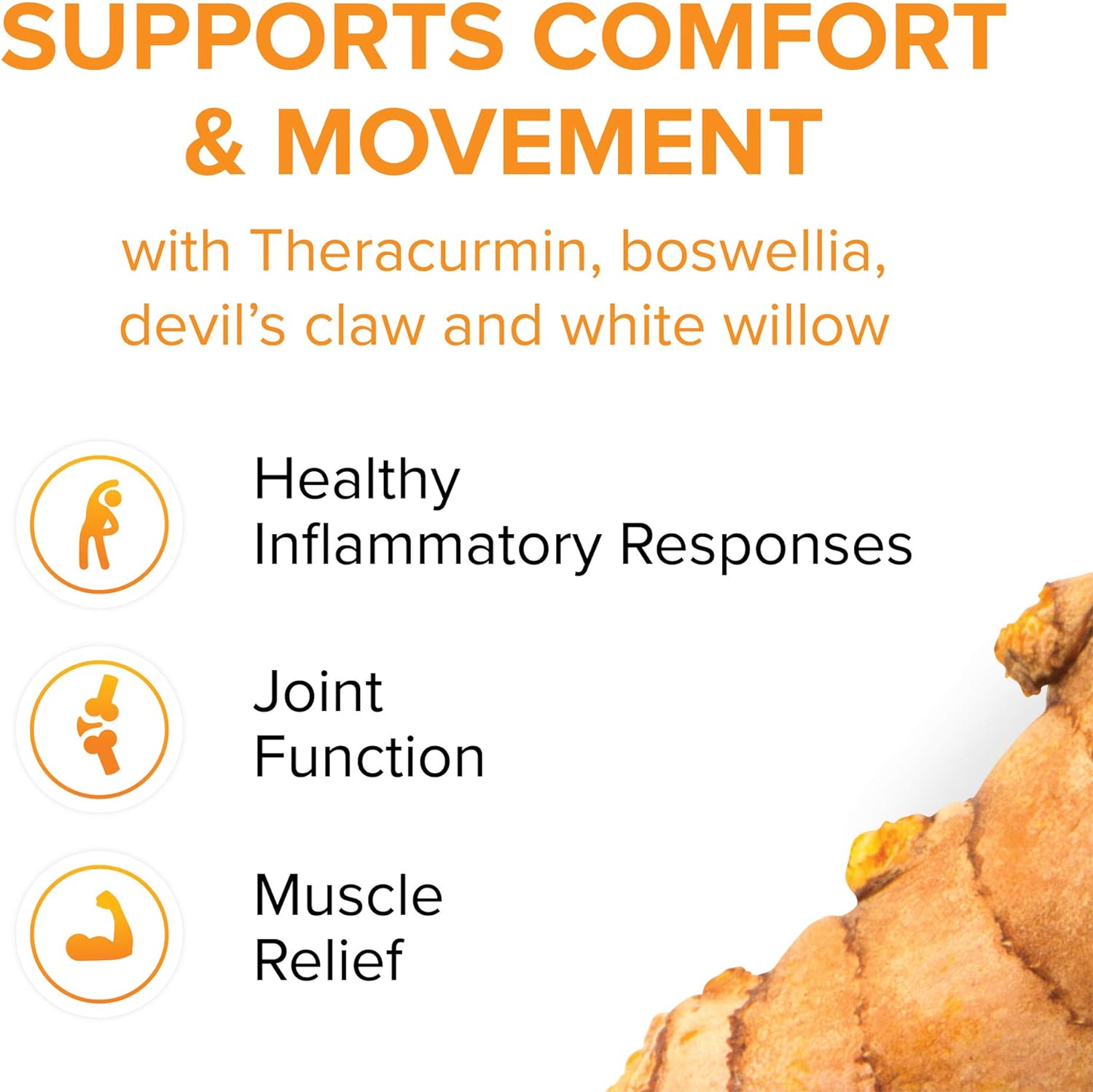 CurcuminRich Joint Curcumizer by Natural Factors, Support Healthy Joints, Heart and Natural Inflammatory Response with White Willow, 60 capsules (30 servings) : Health & Household