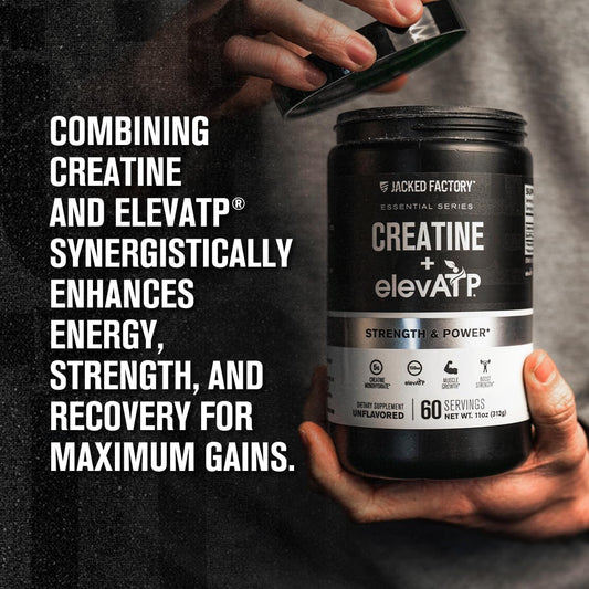 Creatine + Elevatp - Creatine Monohydrate Powder For Muscle Growth, Increased Strength, Enhanced Energy Output, With Elevatp For Sustained Energy & Endurance - 60 Servings, Unflavoured