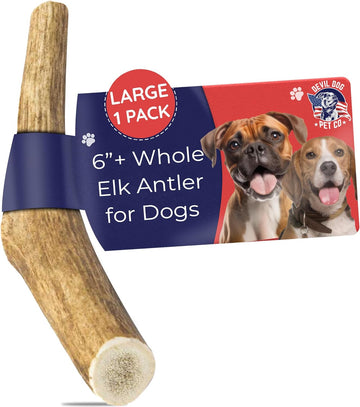 Devil Dog Pet Co. Elk Antlers for Dogs, 1 Pack, Large 6”+ – Grade A Long Lasting Dog Bones for Aggressive Chewers, Premium USA Naturally Shed Antler Dog Chew – Healthy, No Odor, Dog Antler Chews