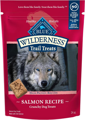 Blue Buffalo Wilderness Trail Treats Crunchy Dog Biscuits, Grain-Free And High-Protein Dog Treats Made With Natural Ingredients, Salmon Recipe 24-Oz. Bag