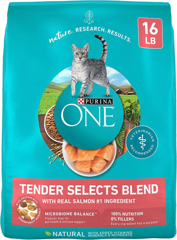 Purina ONE Natural Dry Cat Food, Tender Selects Blend With Real Salmon - 16 lb. Bag