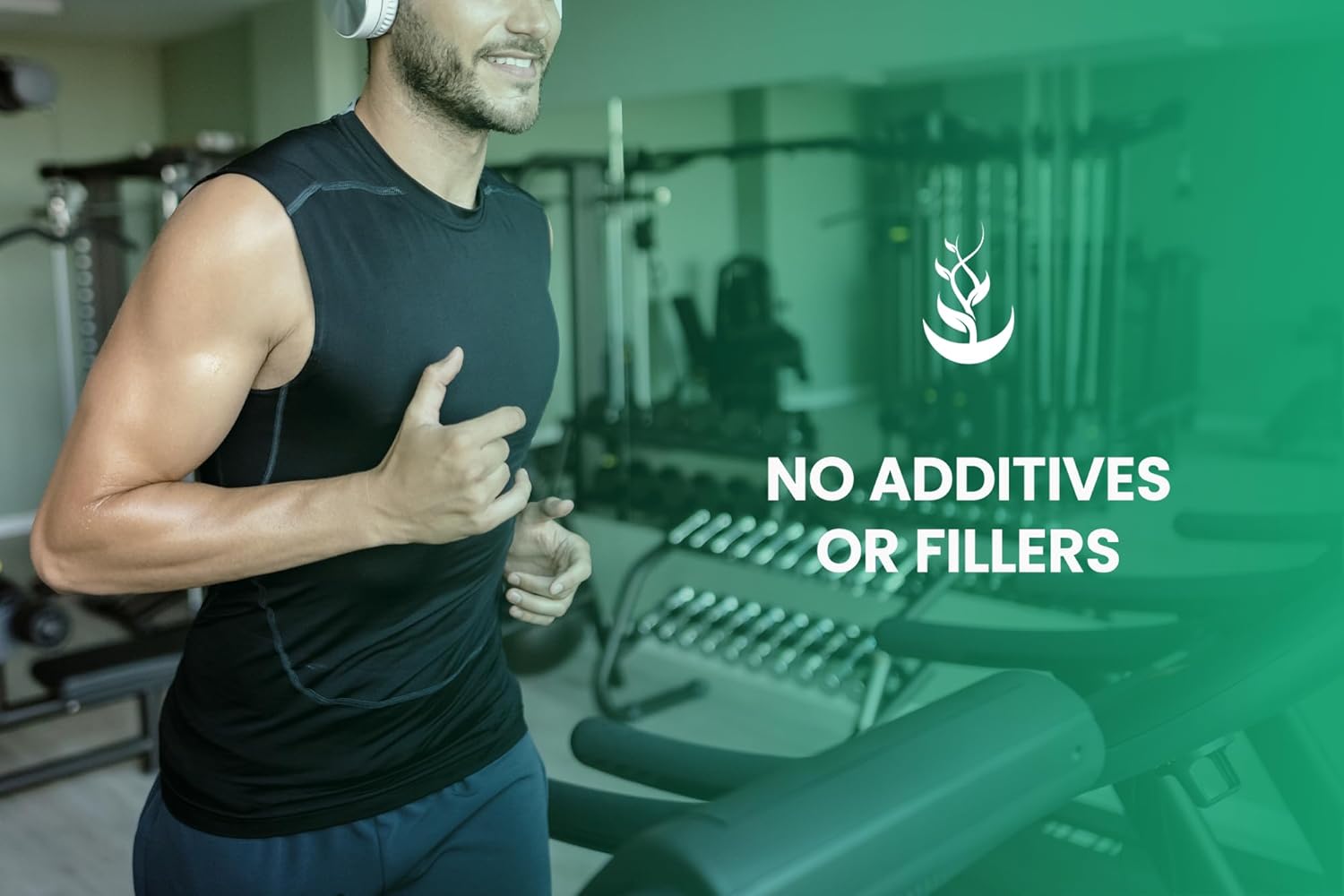 PURE ORIGINAL INGREDIENTS Peppermint Leaf (365 Capsules) No Magnesium Or Rice Fillers, Always Pure, Lab Verified : Health & Household