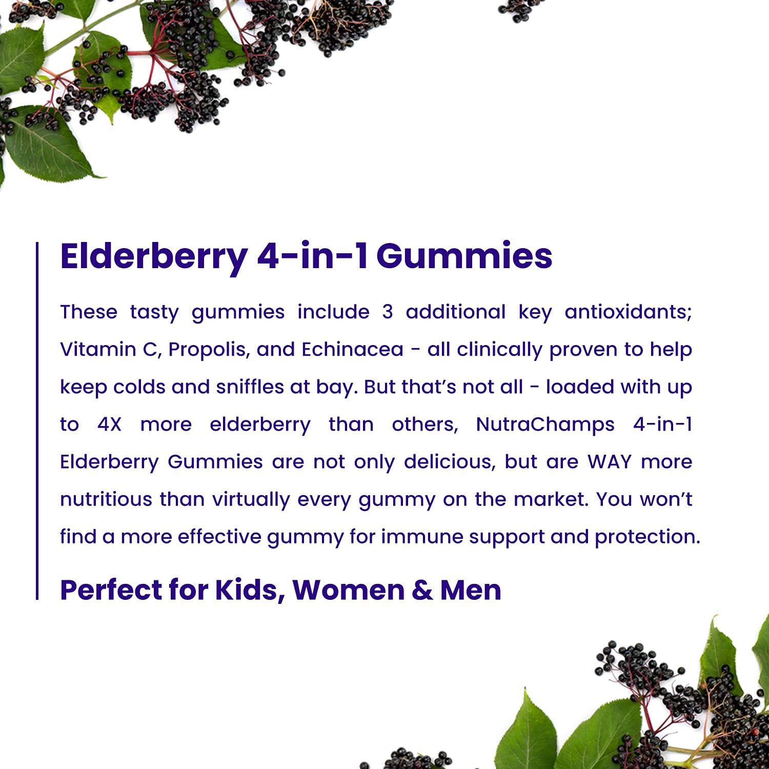 NutraChamps Elderberry Gummies with Vitamin C, Propolis & Echinacea - Immune System Support Gummy Vitamins for Adults & Kids - Max Strength 200mg Sambucus Antioxidant : Health & Household