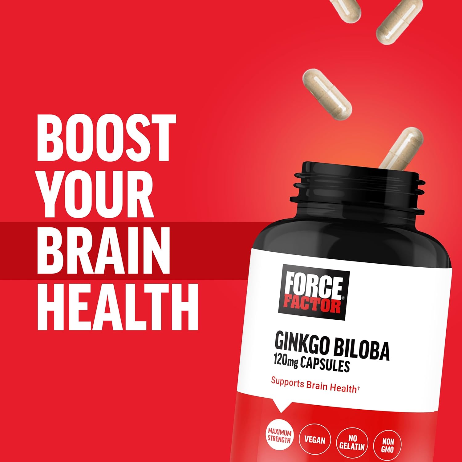 FORCE FACTOR Ginkgo Biloba 120mg, Brain Health Supplement for Adults, Maximum Strength Ginko Brain Support and Cognitive Supplement, Vegan, Non-GMO, 120 Capsules : Health & Household