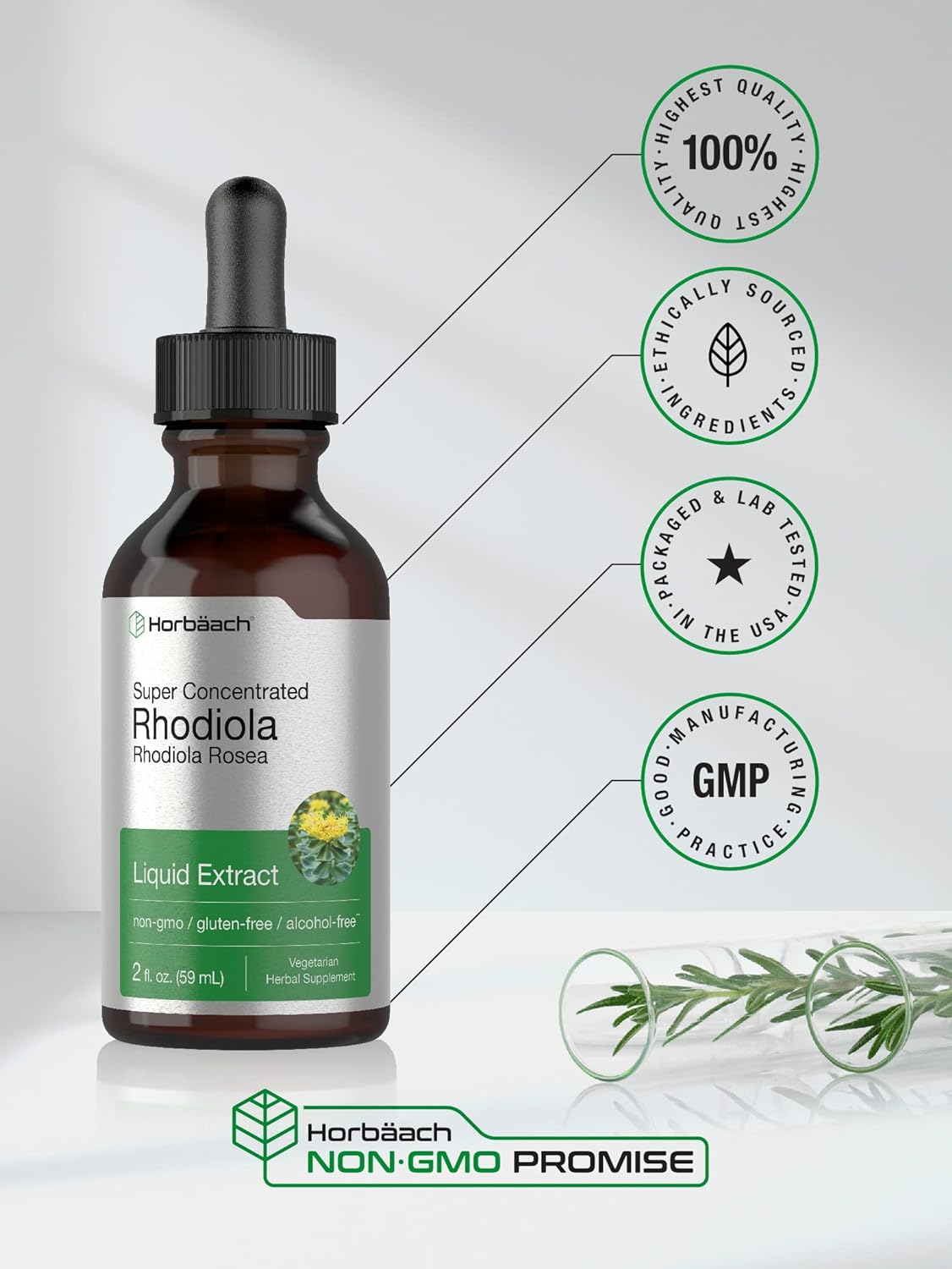 Horbäach Rhodiola Rosea Tincture | 2 fl oz | Alcohol Free Extract | Super Concentrated Root Liquid Supplement | Vegetarian, Non-GMO, Gluten Free : Health & Household