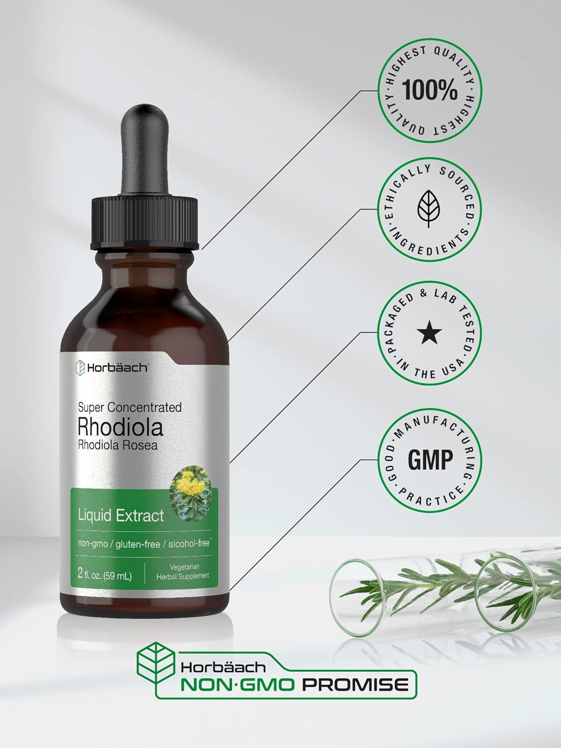 Horbäach Rhodiola Rosea Supplement | 2 fl oz Tincture | Alcohol Free Extract | Super Concentrated Root Liquid | Vegetarian, Non-GMO, Gluten Free : Health & Household