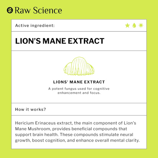 Organic Lions Mane Supplement Extract - Liquid Nootropics Brain Support Supplement - Lion Mane For Enhanced Mental Focus & Clarity - Lion'S Mane Liquid - Nootropic Mushroom Supplement - Vegan, 2 Fl Oz