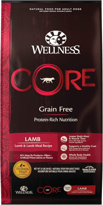 Wellness Core Grain-Free High-Protein Dry Dog Food, Natural Ingredients, Made In Usa With Real Meat, All Breeds, For Adult Dogs (Lamb, 22-Pound Bag)