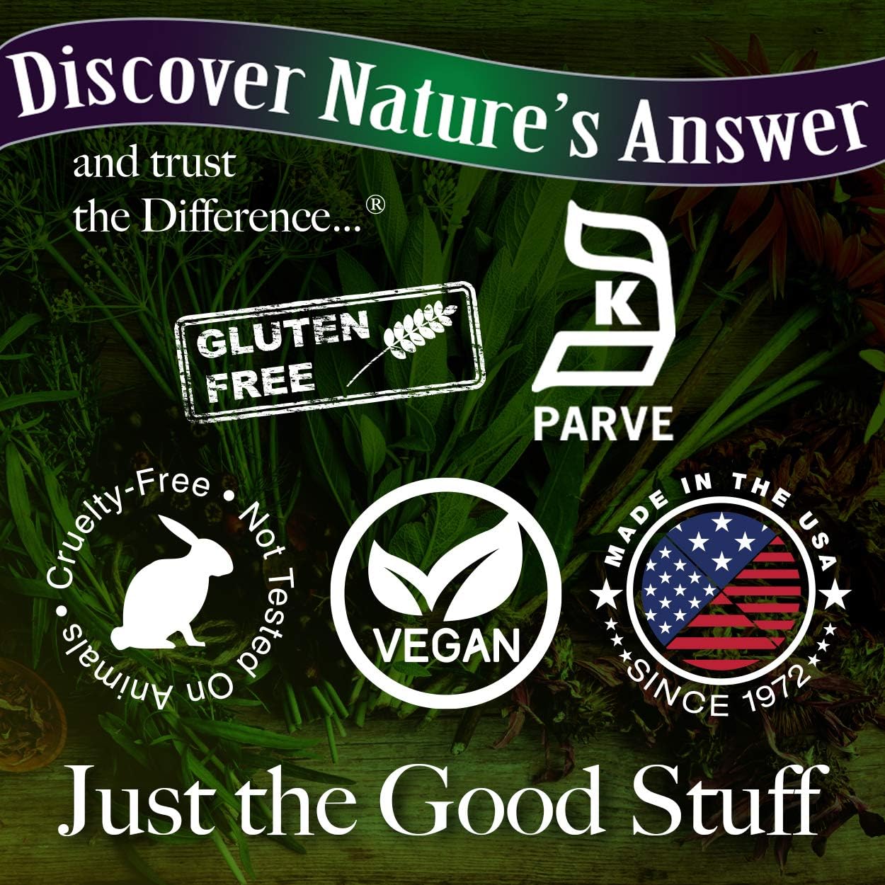 Nature's Answer Alcohol-Free Sambucus Extract Spray, 2-Ounces | Immune System Support | Vegan, Gluten-Free, No Artificial Flavors or Preservatives | Single Count : Health & Household