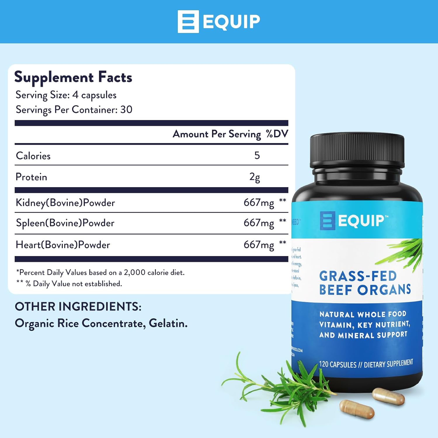 Equip Foods Grass-Fed Beef Organs - Grass Fed Beef Organ Supplement - Support Heart, Kidney & Spleen Health, Detox & Digestion, Vitality & Metabolism - Hormone, Antibiotic and GMO Free - 120 Capsules : Health & Household